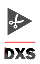 DXS Video logo